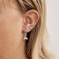 Avalon Whale Tail Earrings