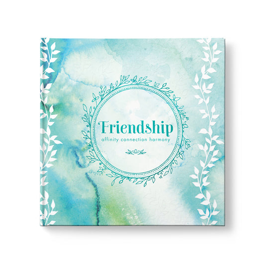 Friendship: Affinity Connection Harmony